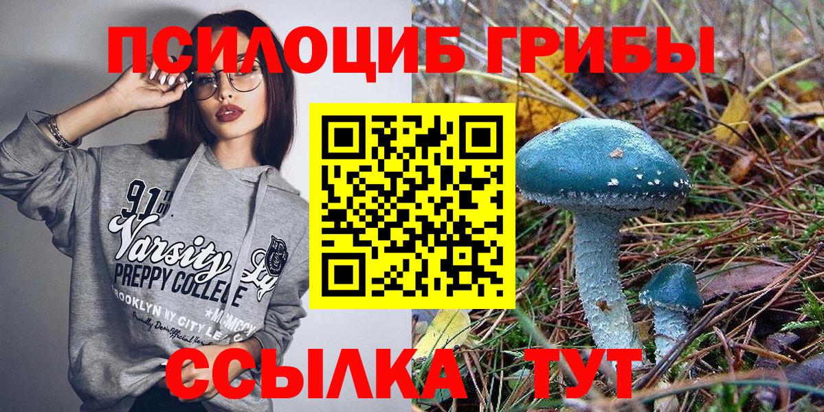 Псилоцибиновые грибы прущие грибы Шебекино