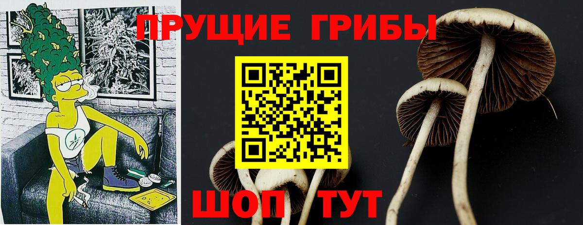 Шебекино  Галлюциногенные грибы мухоморы  Вход с VPN 